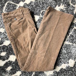 Gap Sexy Boot Corduroy Pants